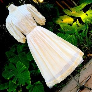 Vintage Edwardian Dress
